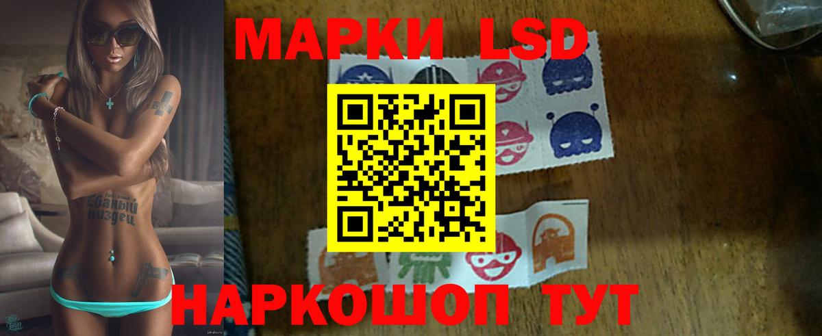 Ессентуки  hydra вход  Лсд 25 экстази кислота  Вход с VPN  Лсд 25 экстази кислота 