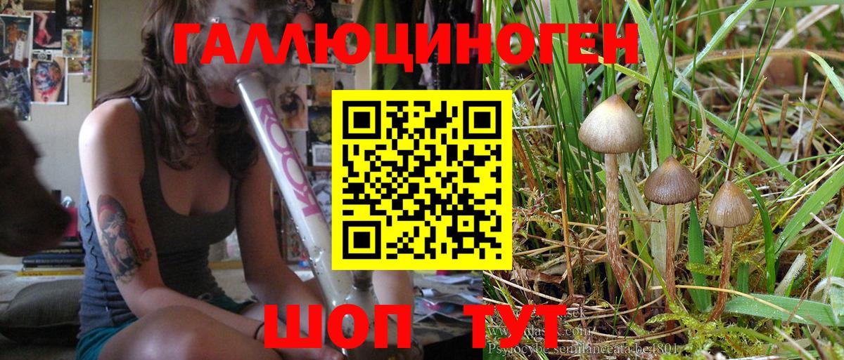 Псилоцибиновые грибы Magic Shrooms Ессентуки