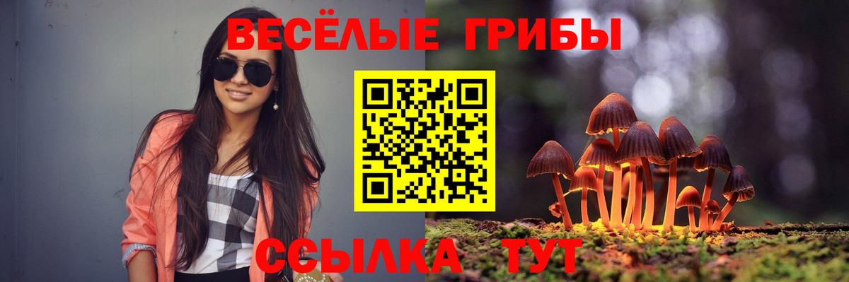 Ессентуки  Галлюциногенные грибы мицелий  Вход с VPN  Псилоцибиновые грибы GOLDEN TEACHER 